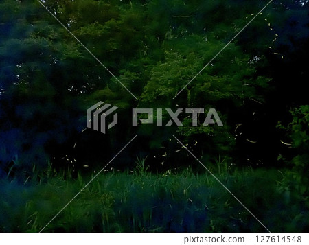 Genji firefly dancing 127614548