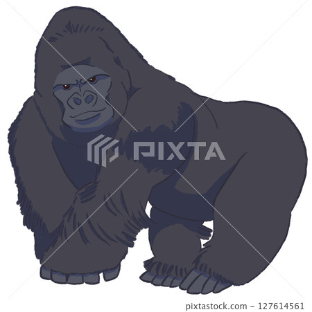Gorilla 127614561