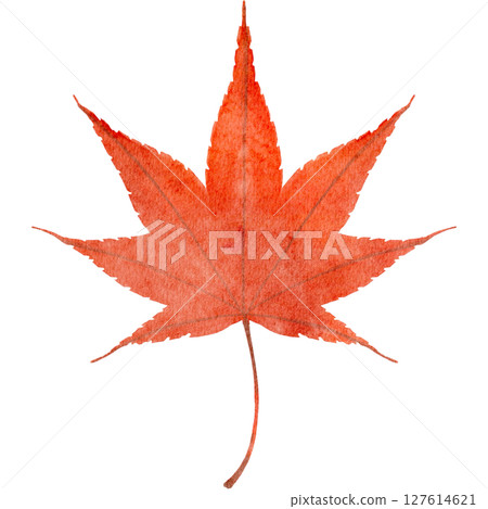 秋葉，楓葉，水彩，秋天，插圖 127614621