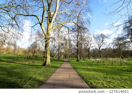 A sunny park in the afternoon in England, Europe A sunny park in the afternoon in England, Europe 127614681