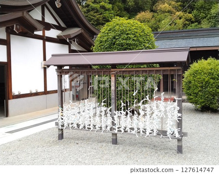 The approach to the historic Kashihara Shrine, Nara Prefecture The approach to the historic Kashihara Shrine, Nara Prefecture 127614747