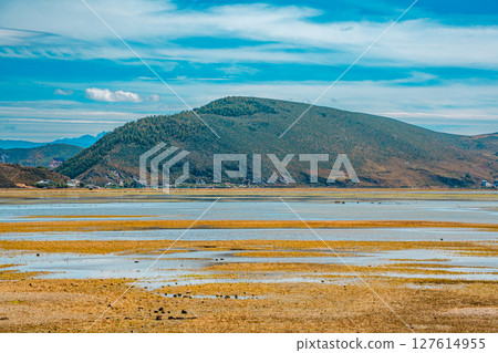 Scenic Landscape of Napahai Lake and a Lakeside Village 127614955