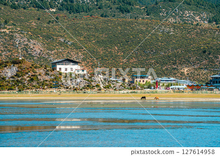 Scenic Landscape of Napahai Lake and a Lakeside Village Scenic Landscape of Napahai Lake and a Lakeside Village 127614958