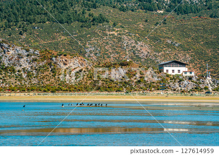 Scenic Landscape of Napahai Lake and a Lakeside Village Scenic Landscape of Napahai Lake and a Lakeside Village 127614959