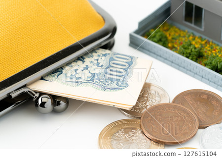 A miniature detached house, a yellow purse and money 127615104