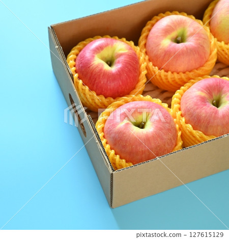 beautiful pink apple in the box on blue background beautiful pink apple in the box on blue background 127615129