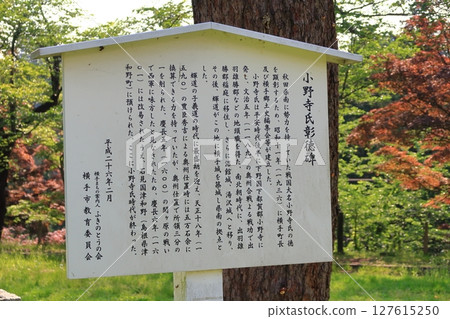 橫手公園風景 橫手公園風景 127615250