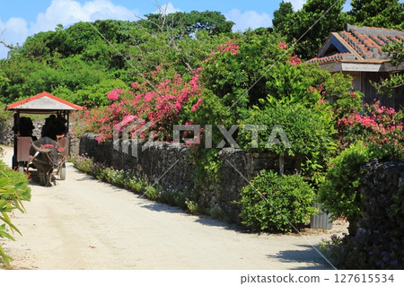 Taketomi island private house and buffalo car Taketomi island private house and buffalo car 127615534