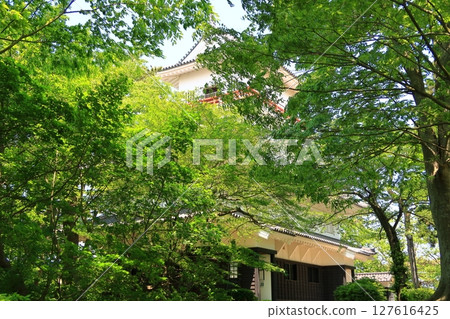Scenery of Senshu Park 127616425