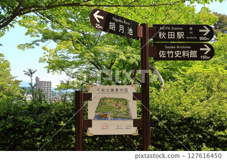 Scenery of Senshu Park 127616450
