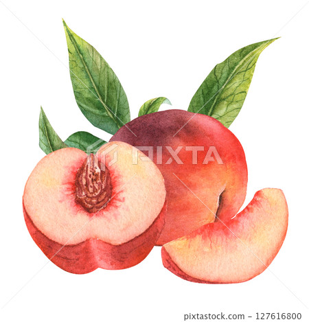 Juicy peach in watercolor. Whole peach and a piece. Peach flowers. Juicy peach in watercolor. Whole peach and a piece. Peach flowers. 127616800