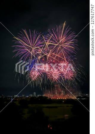 Spectacular fireworks spreading across the night sky 127617747