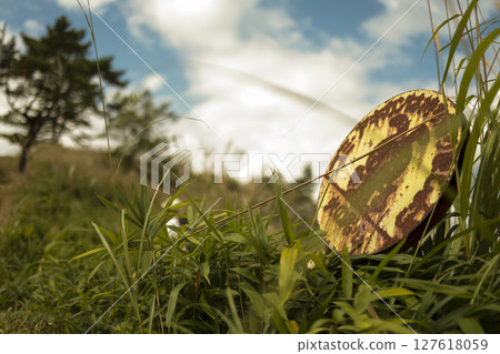A rusty road sign abandoned in the grass 127618059
