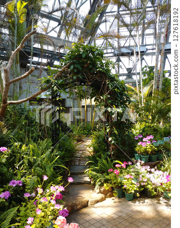 Path through the Great Conservatory 127618192