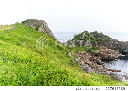 "Aomori Prefecture" Early summer flowers blooming at Ashigezaki and Tanesashi Coast 127618389