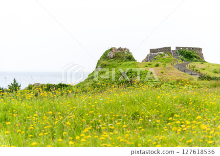 青森縣 初夏花開的足毛崎、種差海岸 127618536
