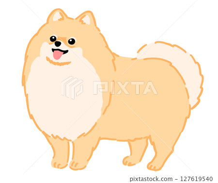 Pomeranian的例證 127619540