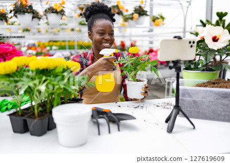 A woman in a greenhouse demonstrates plant care, holding a potted flower and a spray bottle while recording with her phone. A woman in a greenhouse demonstrates plant care, holding a potted flower and a spray bottle while recording with her phone. 127619609