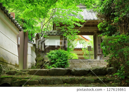 Shoji Temple with fresh greenery 127619861