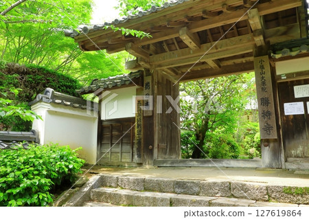 Shoji Temple with fresh greenery Shoji Temple with fresh greenery 127619864
