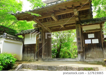Shoji Temple with fresh greenery Shoji Temple with fresh greenery 127619865
