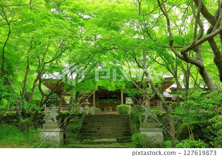 綠意盎然的松寺 127619873