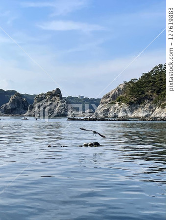 淨土濱(海鷗) 淨土濱(海鷗) 127619883