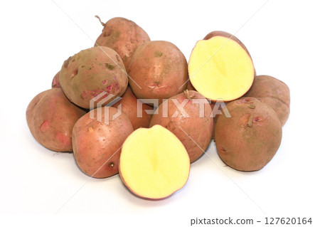 Potato (Andes red) Potato (Andes red) 127620164