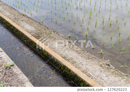 農業運河 127620223