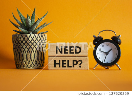 Need Help symbol. Concept words Need Help on wooden blocks. Beautiful orange background with alarm clock and succulent plant. Business and Need Help concept. Copy space. 127620269