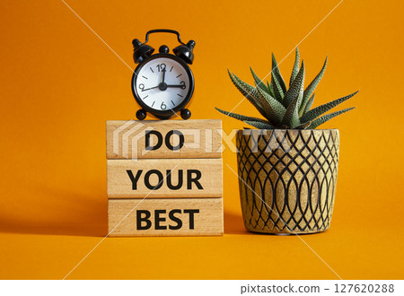 Do your Best symbol. Concept words Do your Best on wooden blocks. Beautiful orange background with succulent plant and alarm clock. Business and Do your Best concept. Copy space. 127620288
