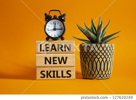 Learn new skills symbol. Concept words Learn new skills on wooden blocks. Beautiful orange background with succulent plant and alarm clock. Business and Learn new skills concept. Copy space. 127620289