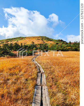 Climbing Mount Kurikoma in autumn (Mount Kurikoma - Mount Masutake: Shirogane Marshland) 127621120