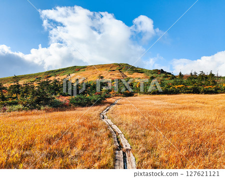 Climbing Mount Kurikoma in autumn (Mount Kurikoma - Mount Masutake: Shirogane Marshland) 127621121