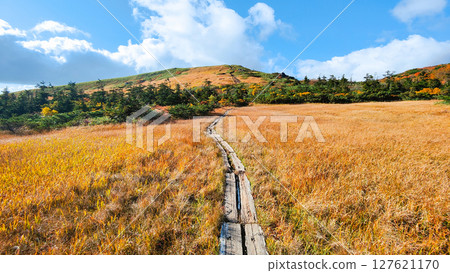 秋季攀登栗駒山（栗駒山～益嶽山：白金濕原） 127621170