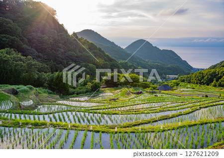 [Matsuzaki Town, Shizuoka Prefecture] Ishibe no Akari 2025 (candle lit) 127621209