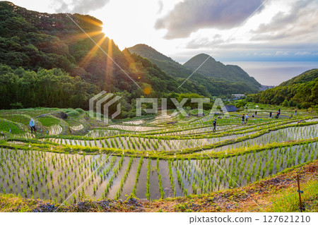 【靜岡縣松崎町】石部之光2025（燭光） 127621210