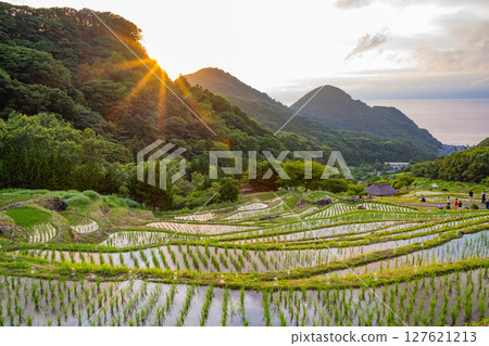 [Matsuzaki Town, Shizuoka Prefecture] Ishibe no Akari 2025 (candle lit) 127621213