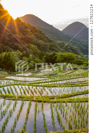 【靜岡縣松崎町】石部之光2025（燭光） 127621214