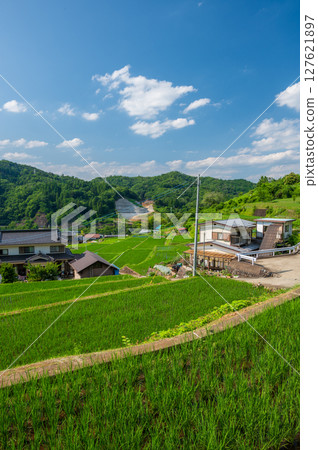 夏日里山：秋山村的原始風景、富岡梯田 127621897