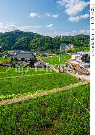 夏日里山：秋山村的原始風景、富岡梯田 127621898