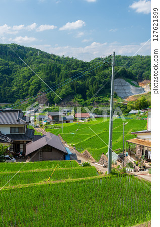 夏日里山：秋山村的原始風景、富岡梯田 127621899