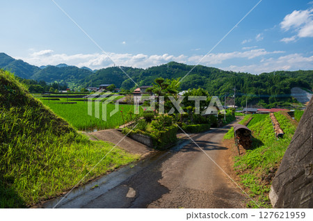 Rural scenery in Akiyama, rice terraces in Tomioka 127621959