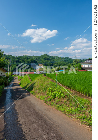 秋山的田園風光、富岡的梯田 秋山的田園風光、富岡的梯田 127621962