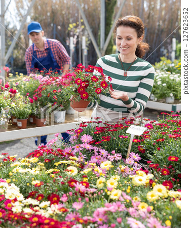 Adult woman choosing margarita flower in flower shop Adult woman choosing margarita flower in flower shop 127623652