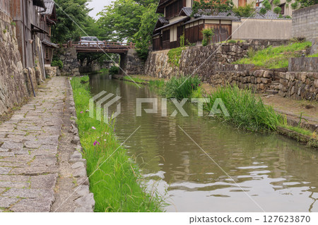 滋賀縣近江八幡市的初夏水鄉風景 127623870