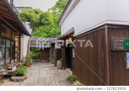 滋賀縣近江八幡市的初夏水鄉風景 滋賀縣近江八幡市的初夏水鄉風景 127623910