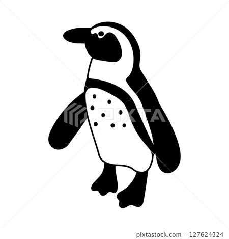 開普企鵝插圖 127624324
