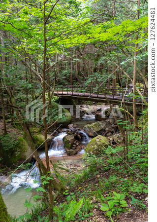 Bridge over the river on Nakasendo trail, Japan 127624481