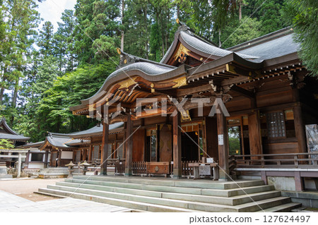 Sakurayama Hachimangu Shrine buildings surrounded by tall trees in Takayama, Japan Sakurayama Hachimangu Shrine buildings surrounded by tall trees in Takayama, Japan 127624497